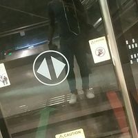 Alvin Pereira的照片