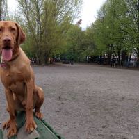 Zdjęcia użytkownika Jansen Bowden