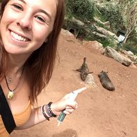 Nadine West的照片