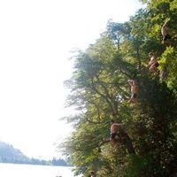 Santi Rossiter's Photo