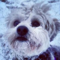 Jennifer Furlano's Photo