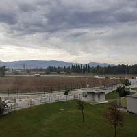 Merry Creig的照片