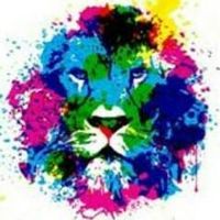 Magdalena Zwierucho的照片