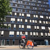 Nemesio Alcazar Jr's Photo