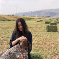 Janan Ghasemian的照片