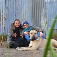 Fotos de Regis Bataille