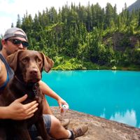 Andrew Toolen's Photo