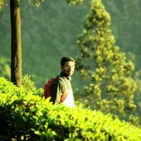 Priyan Paul的照片