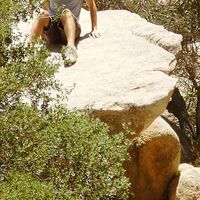 Fotos de William Sheline