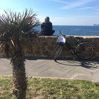 nihan çolpan的照片