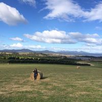 Estefania Ferro的照片