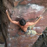 Nima Moallem's Photo