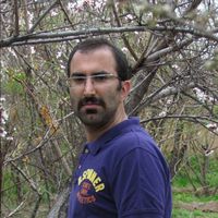Hamed Hashemifar's Photo
