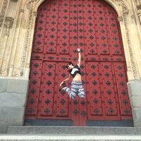 Emily Scheinberg's Photo