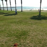 Chiemi Goda的照片