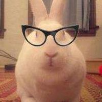 Kate Ashbaugh's Photo