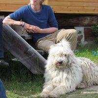 Mogens Thalmann's Photo