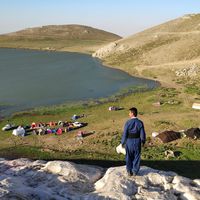 Mohammad Sharifpour's Photo