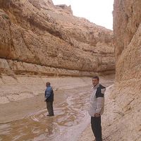 Ivica Stipovic的照片