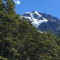 Dagoberto Urrutia's Photo