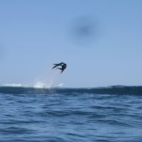 Jordi Hidalgo Carcasona's Photo