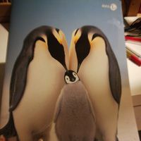 Giulia Giulia的照片