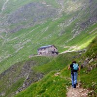 Gabriele Frattini's Photo