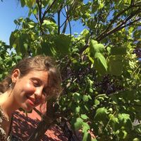 Фотографии пользователя Jasmina Iftime