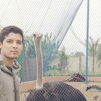 Zakariae زكريا的照片