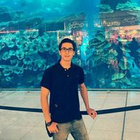 Artin Spiridonoff的照片