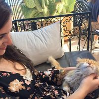 Brittany Saab's Photo