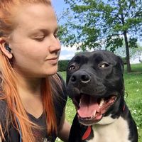 Fotos von Lotta Nevanpää