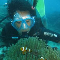 Rayssa Tantara的照片