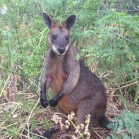 Hiroyuki Murakami的照片