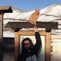 Le foto di Stefano Gagliardi