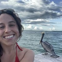 Rachel Abel的照片