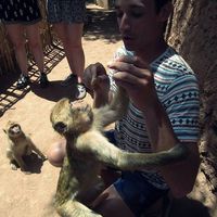 Hugo Rodrigues的照片