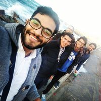 Amr Mohamed's Photo