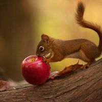 Sebastien Fino的照片