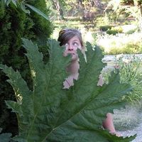 Maddie Brown's Photo