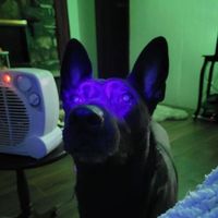 Jiggins Coltwaith's Photo