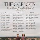 The Ocelots -  Ponyhof 's picture