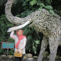 Sajedeh Hosseini的照片