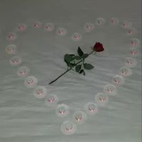 Moroz  Casataş's Photo