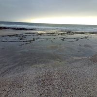 Bràhim GoùrChàne的照片