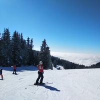 Zdjęcia użytkownika Denitsa Krasteva