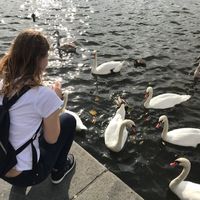 Yulia  Sidorina的照片