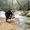 Nestor Rojas+carrizales's Photo