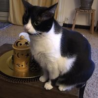 Myriam Rouibet's Photo