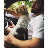 James Gilmour的照片